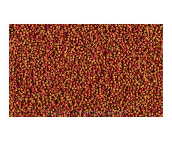 TetraCichlid Colour корм для всех видов цихлид для улучшения окраса 10 л ведро