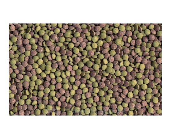 TetraTabletsTabiMin корм для всех видов донных рыб 120 таб.