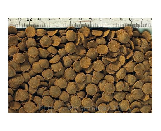 TetraPleco Wafer корм для сомиков-присосок 250 мл