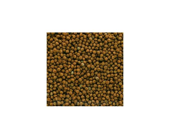 TetraGoldfish Granules корм в гранулах для золотых рыб 100 мл