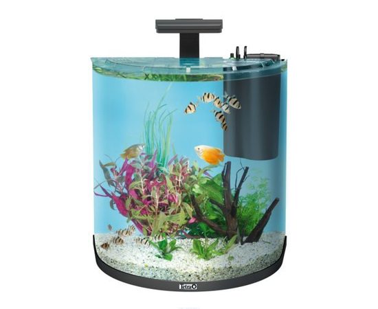 Tetra AquaArt Tropical 60 л - аквариумный комплекс &quotПолумесяц&quot
