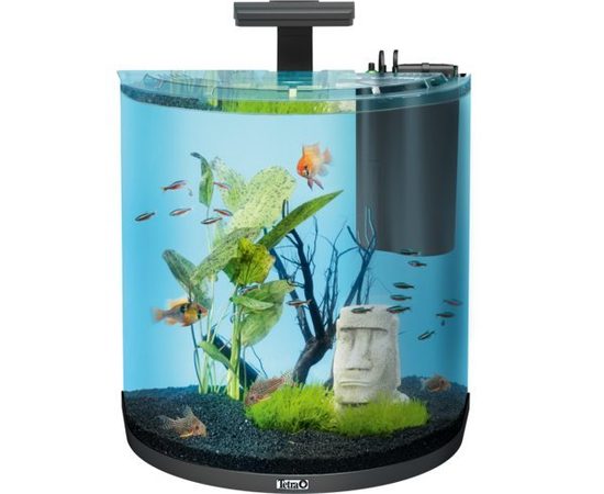 Tetra AquaArt Tropical 60 л - аквариумный комплекс &quotПолумесяц&quot