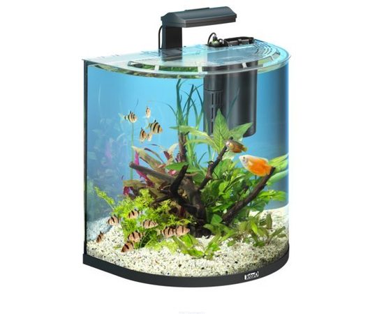 Tetra AquaArt Tropical 60 л - аквариумный комплекс &quotПолумесяц&quot
