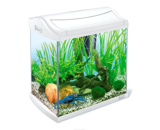 Аквариум для раков AquaArt Crayfish Discover Line белый 30л 38х26х42см