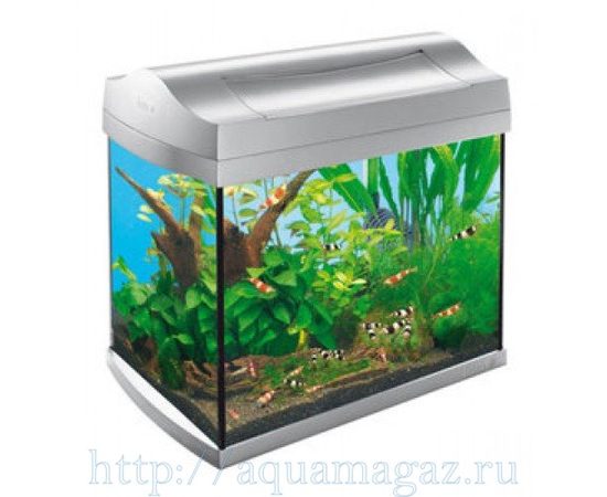 Аквариум для креветок AquaArt Shrimps Discover Line 20л 38х26х34см