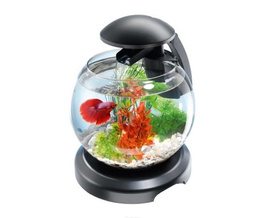 Tetra Cascade Globe аквариумный комплекс черный 6,8 л