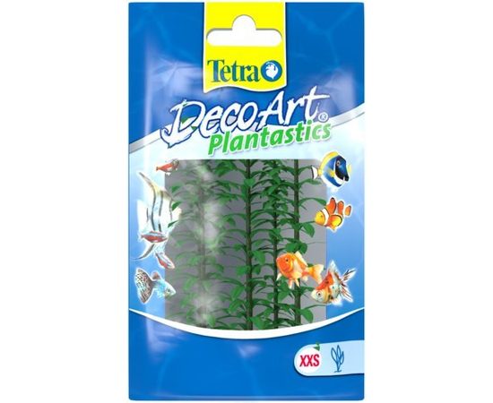 Растение Элодея XXS