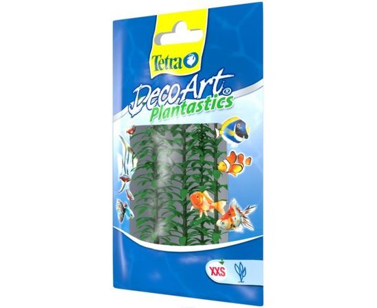 Растение Элодея XXS