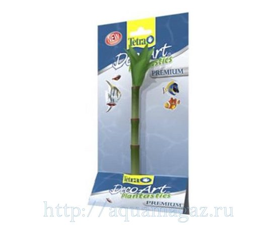 Растение Бамбук S