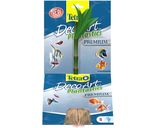 Растение Бамбук S