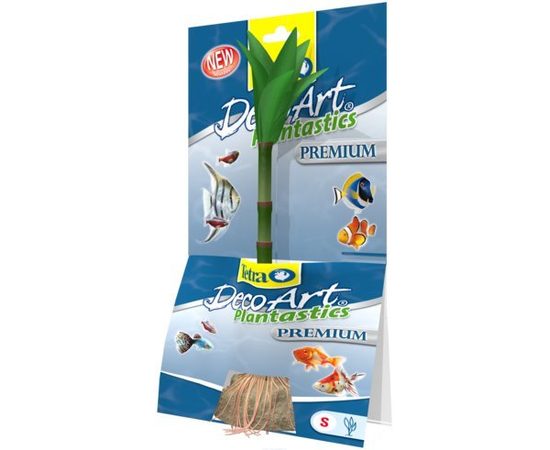 Растение Бамбук S