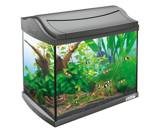 Аквариум Tetra AquaArt LED Goldfish 20л 39,5х28х33см Аквариум Tetra AquaArt LED Goldfish 20л 39,5х28х33см