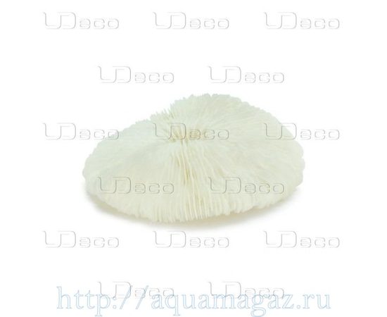 Коралл дисковидный UDeco Disk Coral S Коралл дисковидный UDeco Disk Coral S