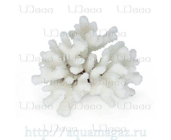 Коралл пальчиковый UDeco Finger Coral M Коралл пальчиковый UDeco Finger Coral M