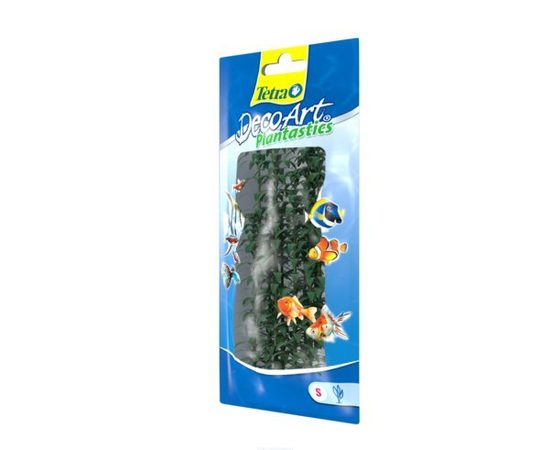 Растение Гигрофила S