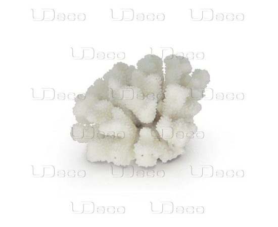Коралл пальчиковый UDeco Finger Coral M Коралл пальчиковый UDeco Finger Coral M