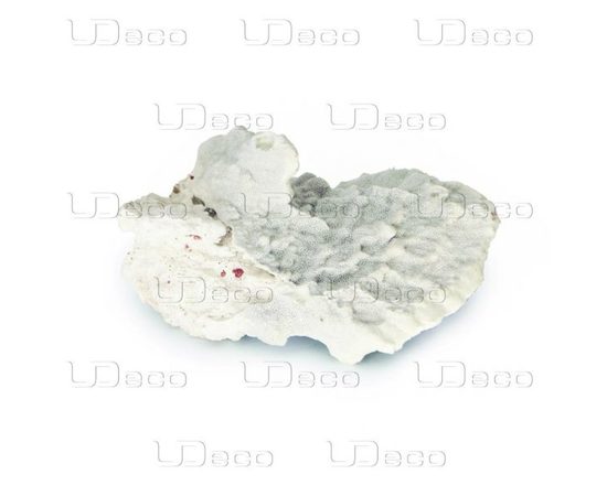 Коралл пластинчатый UDeco Slab Coral, 1кг Коралл пластинчатый UDeco Slab Coral, 1кг