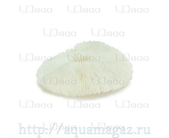 Коралл дисковидный UDeco Disk Coral S Коралл дисковидный UDeco Disk Coral S