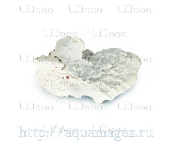 Коралл пластинчатый UDeco Slab Coral, 1кг Коралл пластинчатый UDeco Slab Coral, 1кг