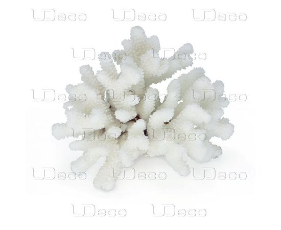 Коралл пальчиковый UDeco Finger Coral L Коралл пальчиковый UDeco Finger Coral L