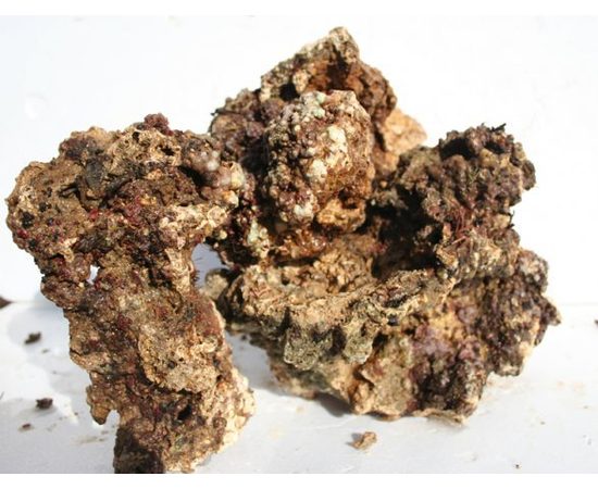 Камни живые - Индонезия кг. M Live rocks