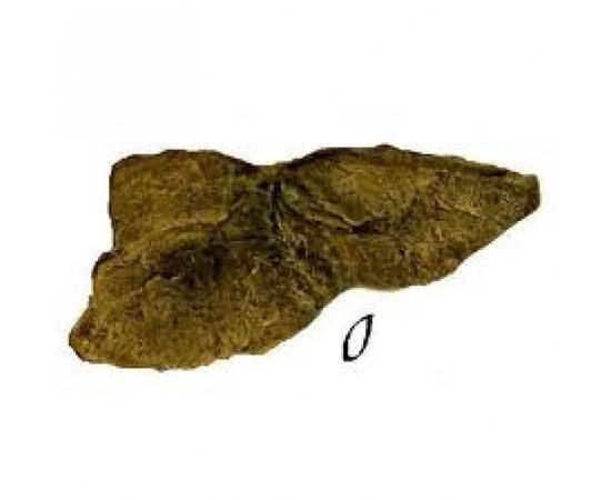 Камень - Модуль O