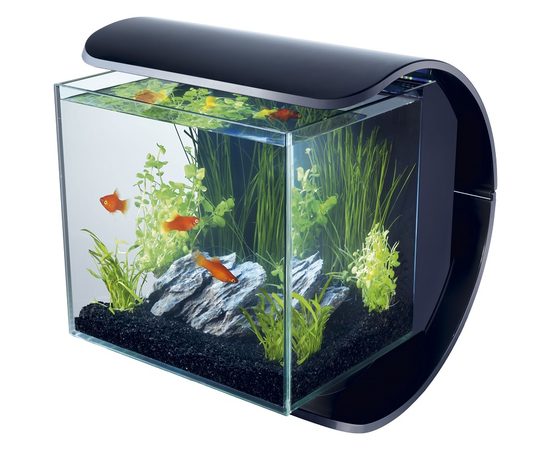 Аквариум Tetra Silhouette LED Tank 12л Силуэт
