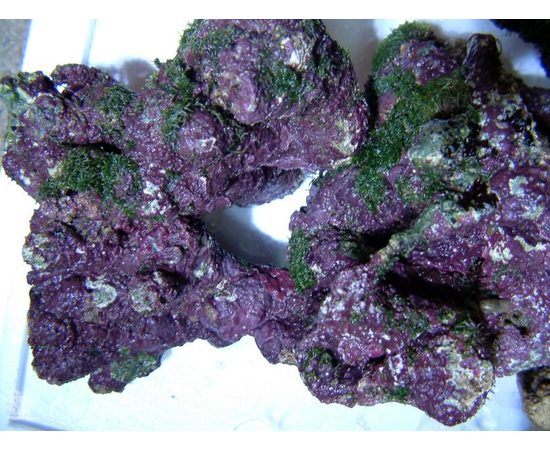 Камни живые голубые - Индонезия  кг.  M, Live rocks M K9t25/M