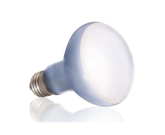 Лампа Hagen EXO TERRA DAYLIGHT BASKING SPOT 75 вт Лампа Hagen EXO TERRA DAYLIGHT BASKING SPOT 75 вт