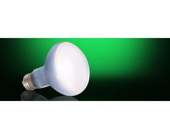 Лампа Hagen EXO TERRA DAYLIGHT BASKING SPOT 75 вт Лампа Hagen EXO TERRA DAYLIGHT BASKING SPOT 75 вт