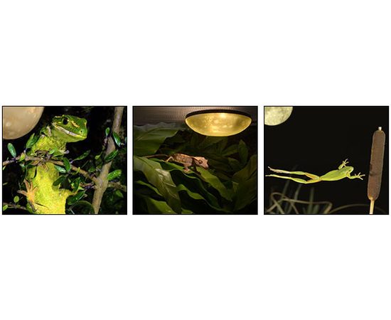 Светильник Exo Terra Полнолуние PT-2360