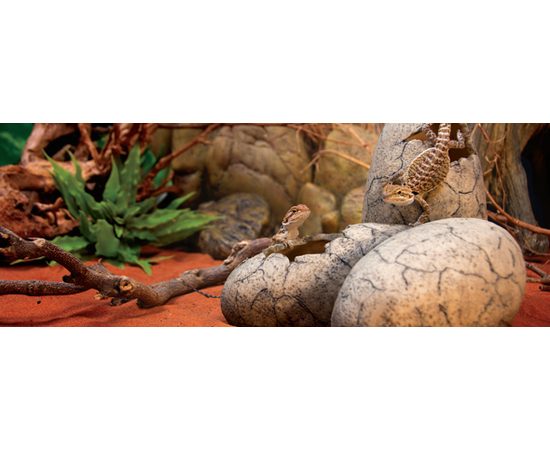 Укрытие для рептилий Exo Terra яйцо динозавра PT-2841