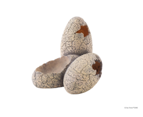 Декор кладка яиц динозавтра - убежище и поилка