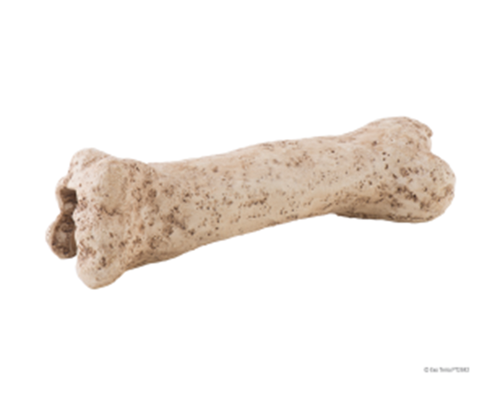 Убежище-декор кость динозавра