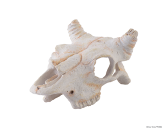 Убежище-декор Череп буйвола малый для террариума