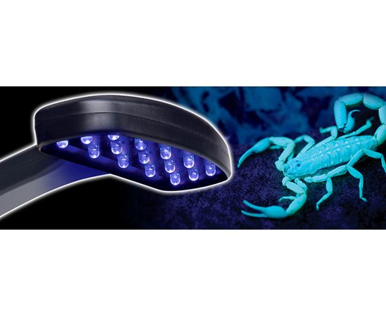 Светильник ночной Exo Terra для скорпионов PT-2365