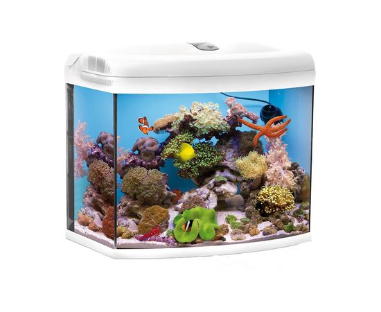 Аквариум морской рифовый REEFMASTER 105л