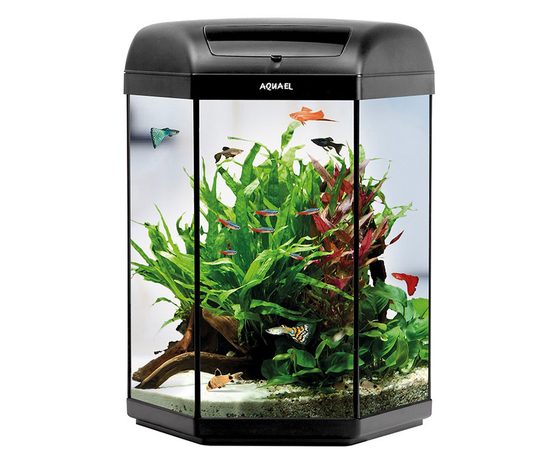Аквариум AQUAEL шестигранный 60л с крышкой и светом AQ-113308
