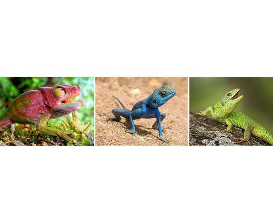 Лампа Hagen EXO TERRA DAYLIGHT BASKING SPOT 75 вт