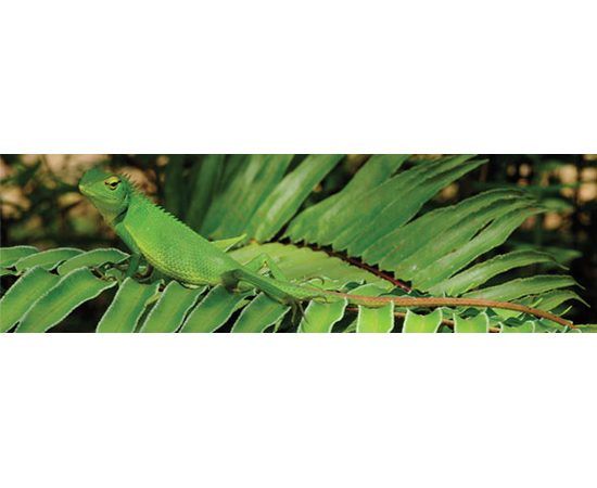 Лампа Hagen EXO TERRA DAYLIGHT BASKING SPOT 75 вт