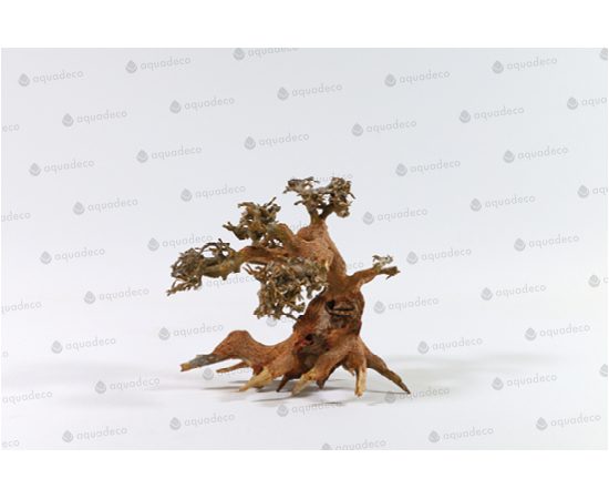 Коряга Аква Бонсай 30-40 см H067