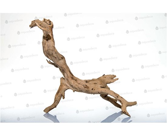 Корень дерева 50-70см PH095-L