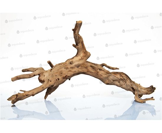 Корень дерева 50-70см PH095-L