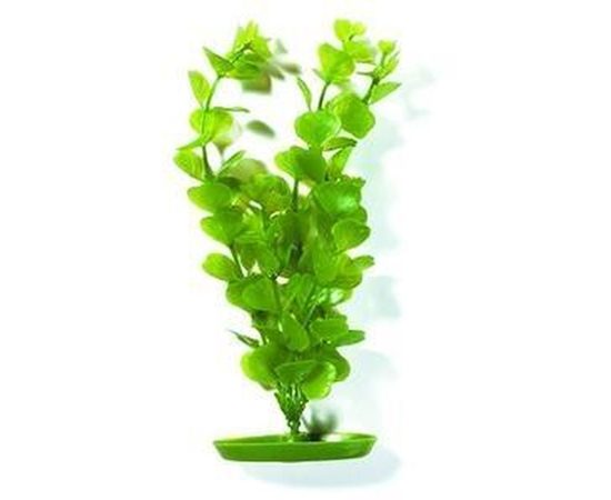 Растение пластиковое Монетница 30см зеленое 3004-30G