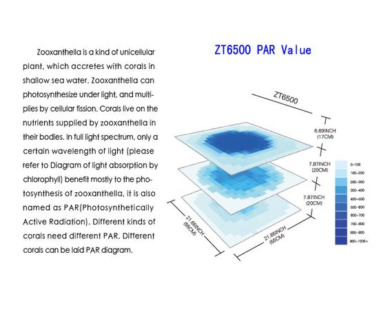 Cветильник Zetlight ZT6500 черный с контроллером (море)