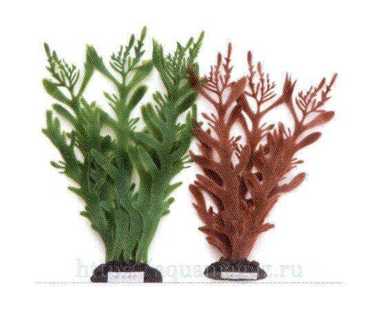 Растение Коралл ветвистый, 20см, коричневое