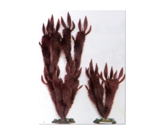 Растение Морской кактус, 20см, коричневое