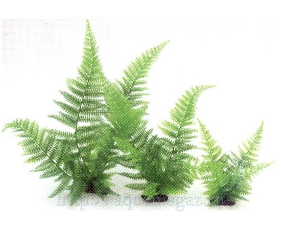 Растение Папоротник, 20см, зеленое