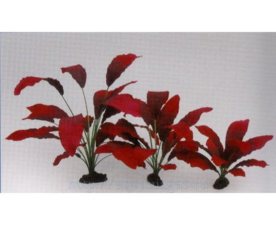 Растение Эхинодорус Кляйн Бер 20см шелковое