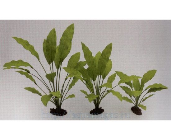 Растение Эхинодорус Селовианус 20см шелковое Растение Эхинодорус Селовианус 20см шелковое